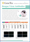 Dengue virus / Вирус лихорадки Денге