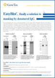 EasyBlot / Методика ИзиБлот
