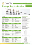 Epitope Tag / Последовательности эпитопов