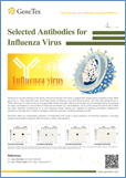 Influenza / Грипп
