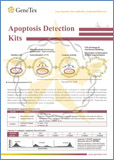 Apoptosis detection kits / Наборы для выявления апоптоза