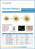 Necrosis Markers / Маркеры некроза
