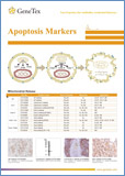 Apoptosis Markers / Маркеры апоптоза