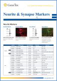 Neurite Markers / Нейритные маркеры