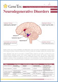 Neurodegenerative Disorders / Нейродегенеративные расстройства