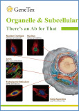 Organelle Markers
