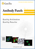Antibody Panels / Панели антител