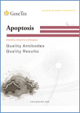 Apoptosis / Апоптоз