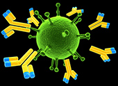 Поликлональные антитела