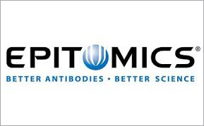 Epitomics купить